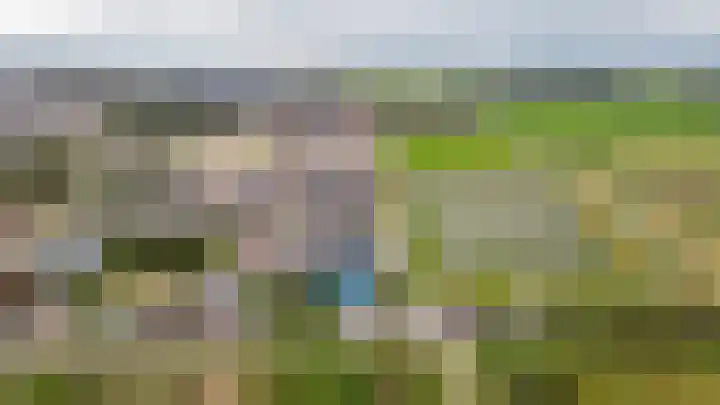 Zijveld 89 Beneden-Leeuwen thumbnail 49
