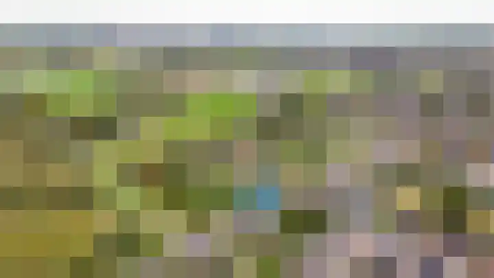 Zijveld 89 Beneden-Leeuwen thumbnail 50