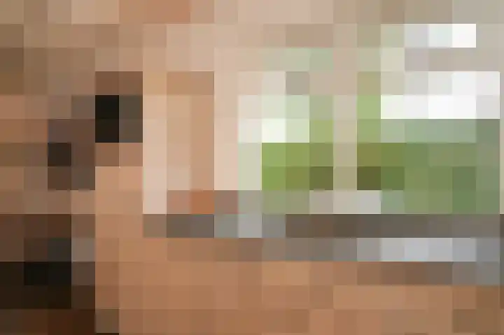 Zijveld 89 Beneden-Leeuwen thumbnail 9