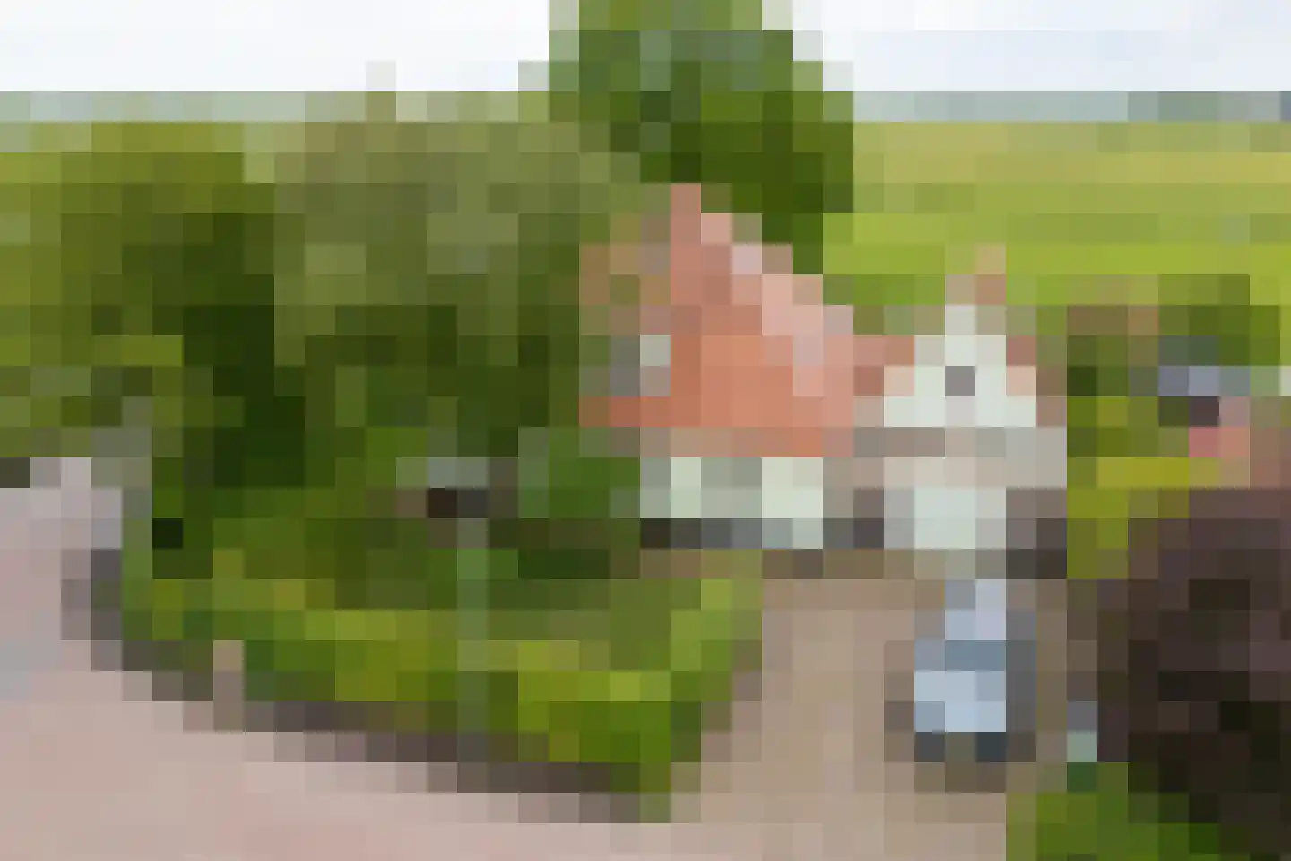 Zijvend 1 Middelie