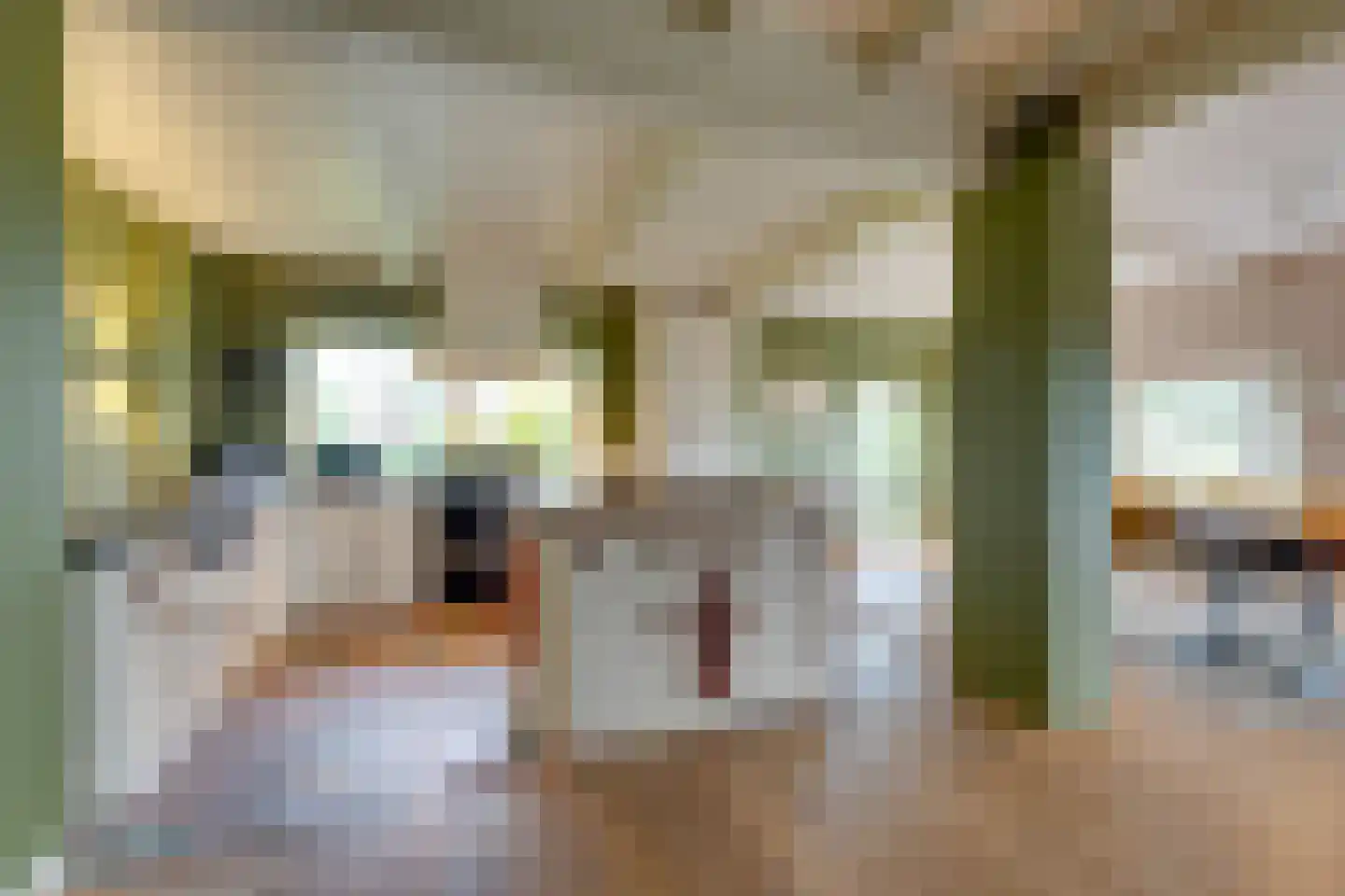 Zijvend 1 Middelie thumbnail 15