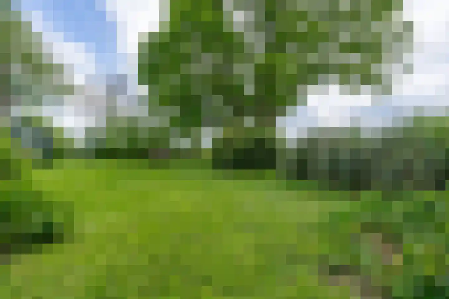 Zijvend 1 Middelie thumbnail 39
