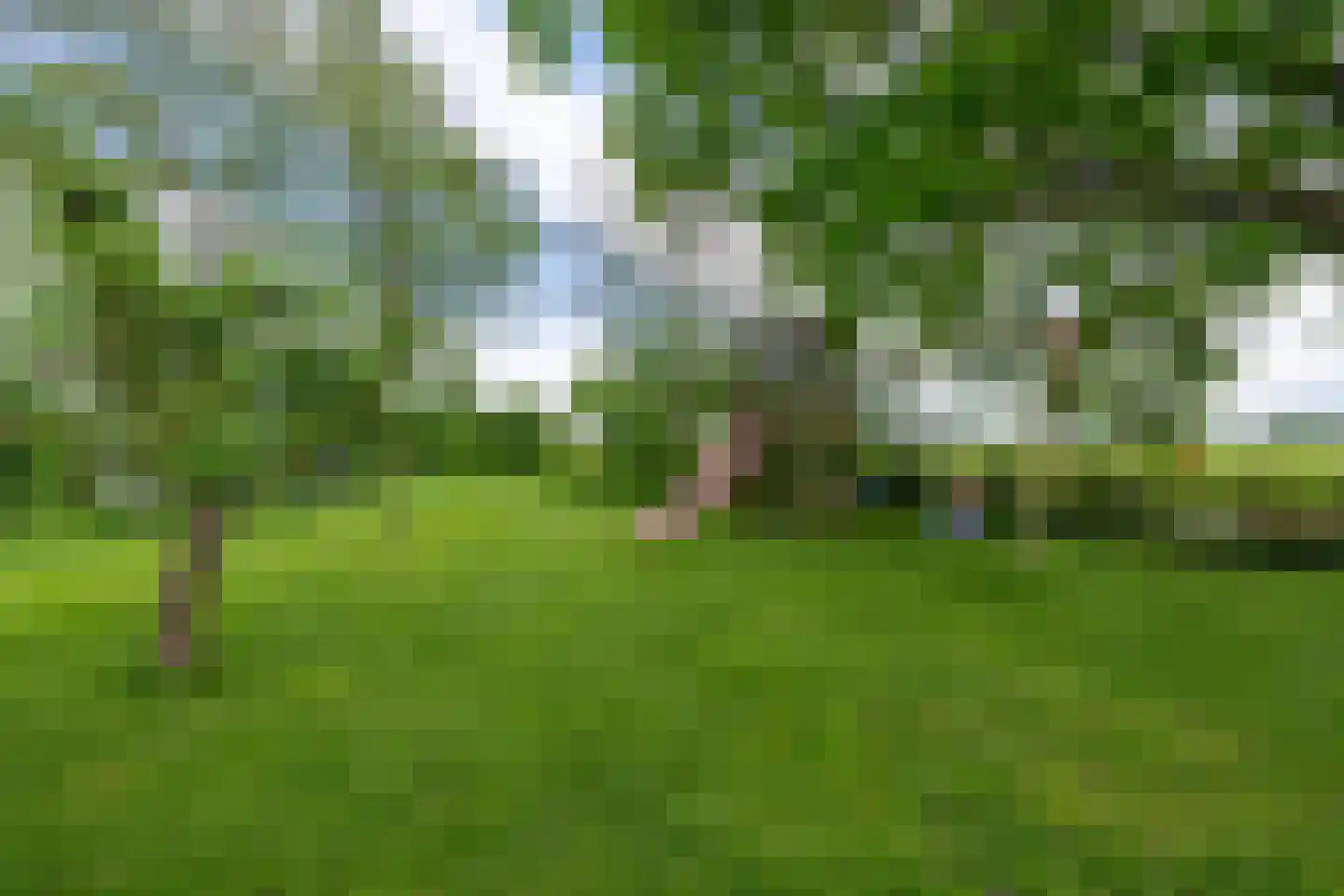 Zijvend 1 Middelie thumbnail 42