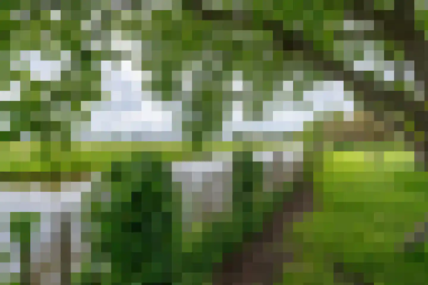Zijvend 1 Middelie thumbnail 44