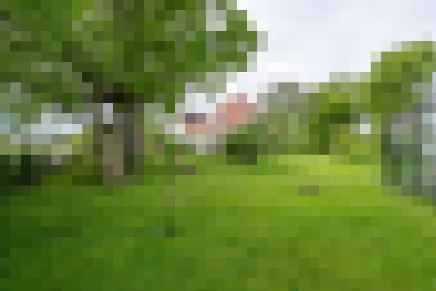 Zijvend 1 Middelie thumbnail 45