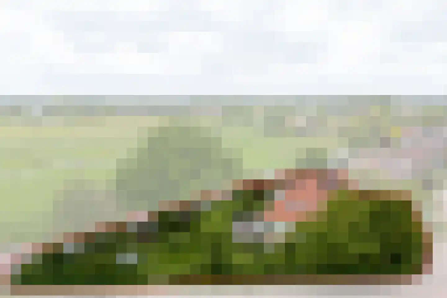 Zijvend 1 Middelie thumbnail 5
