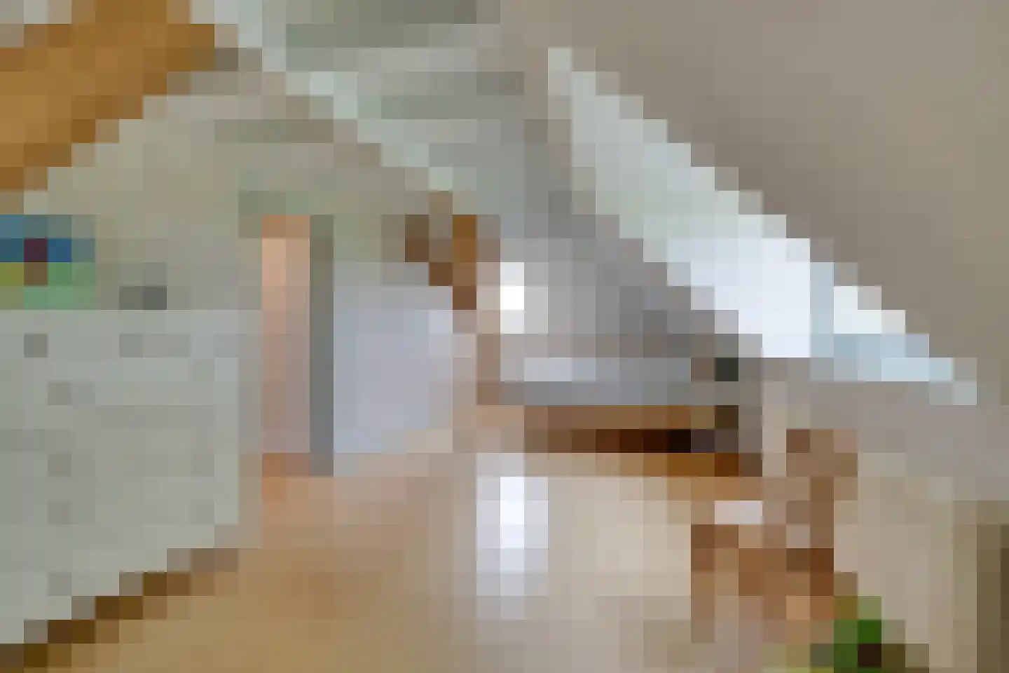 Zijvend 1 Middelie thumbnail 52