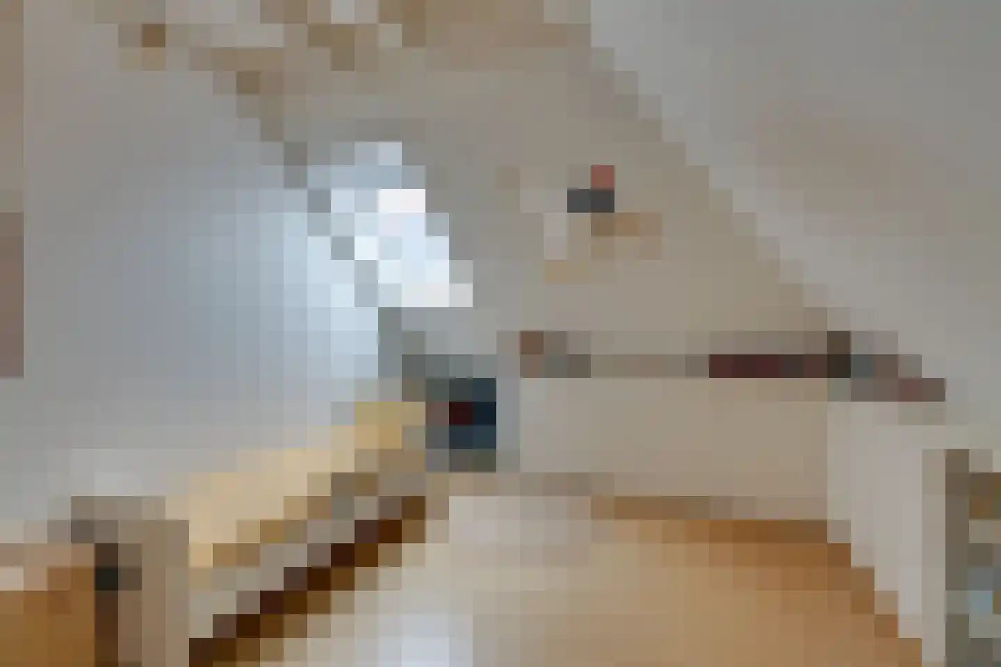 Zijvend 1 Middelie thumbnail 54