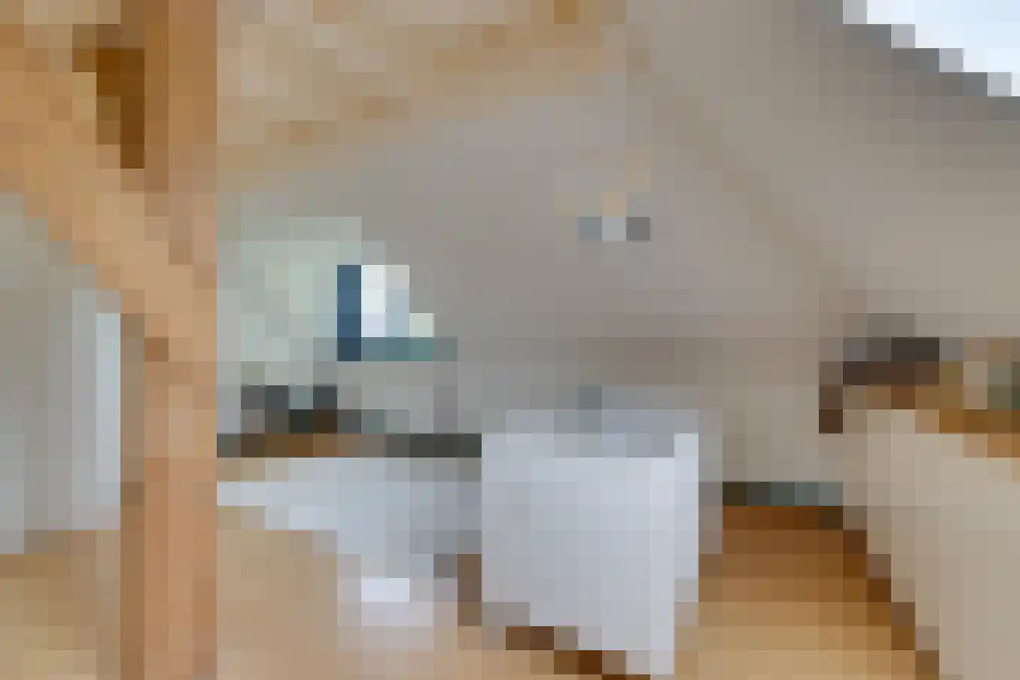 Zijvend 1 Middelie thumbnail 56