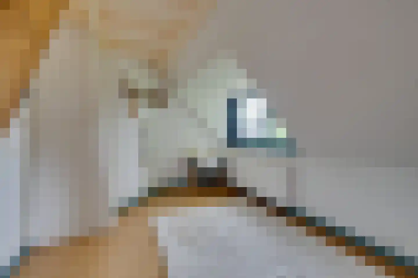 Zijvend 1 Middelie thumbnail 57
