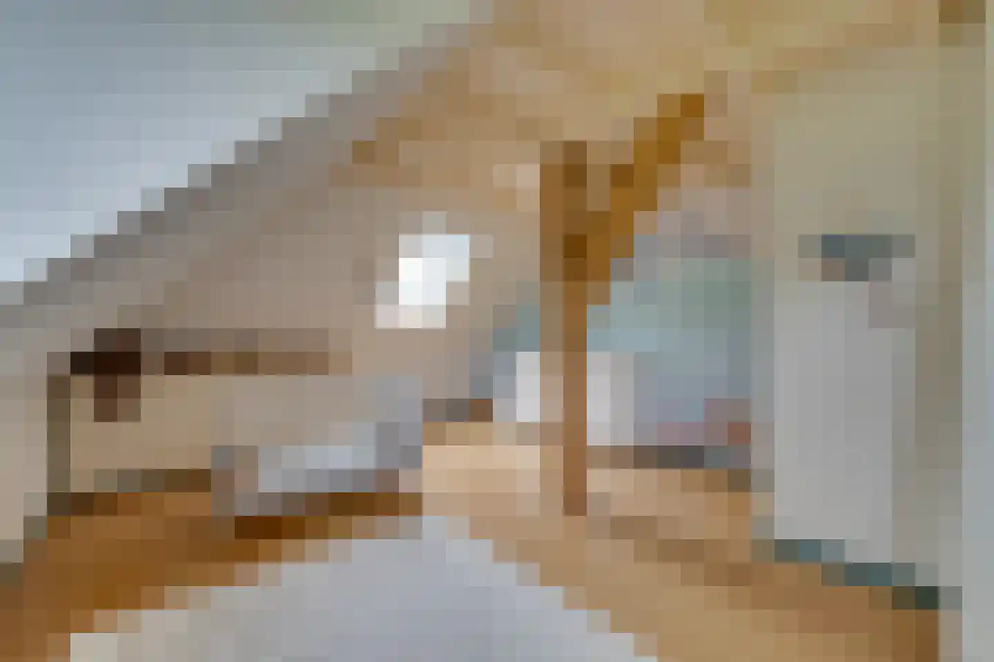 Zijvend 1 Middelie thumbnail 58