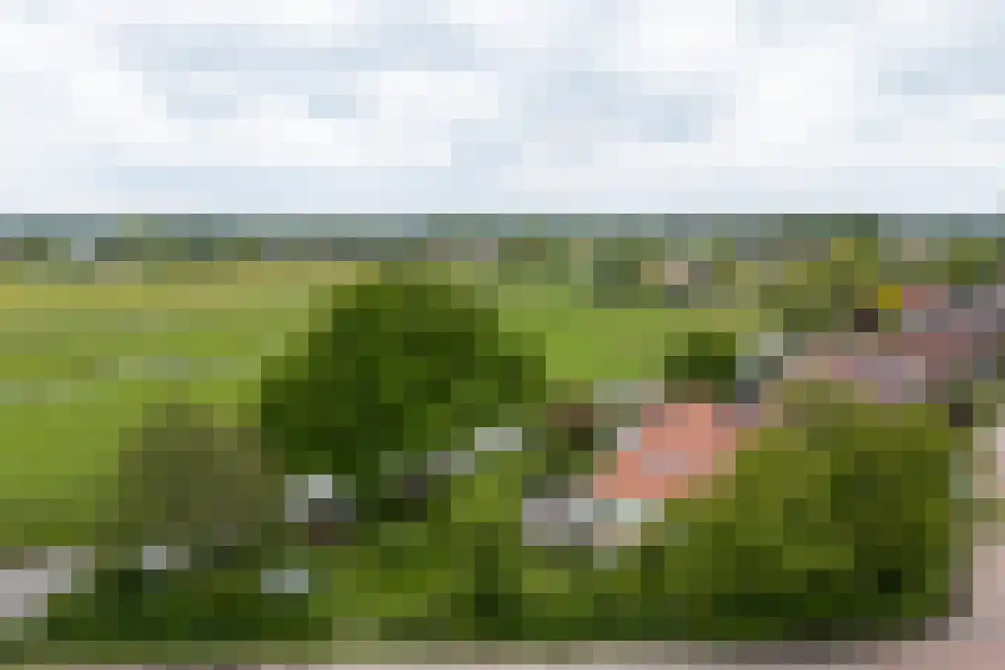 Zijvend 1 Middelie thumbnail 6