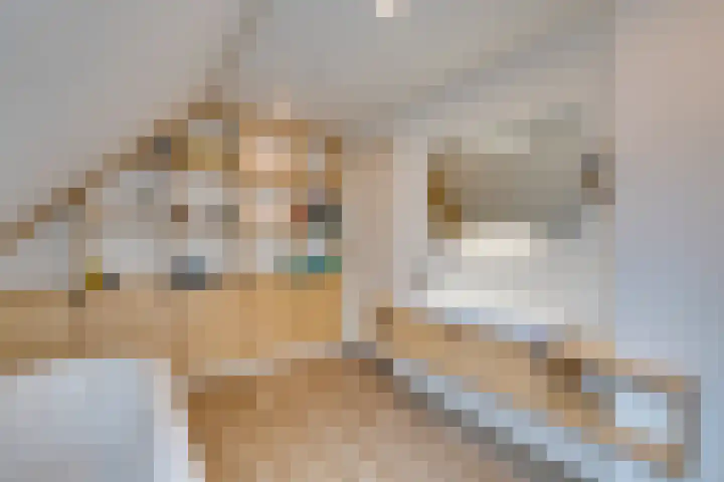 Zijvend 1 Middelie thumbnail 63
