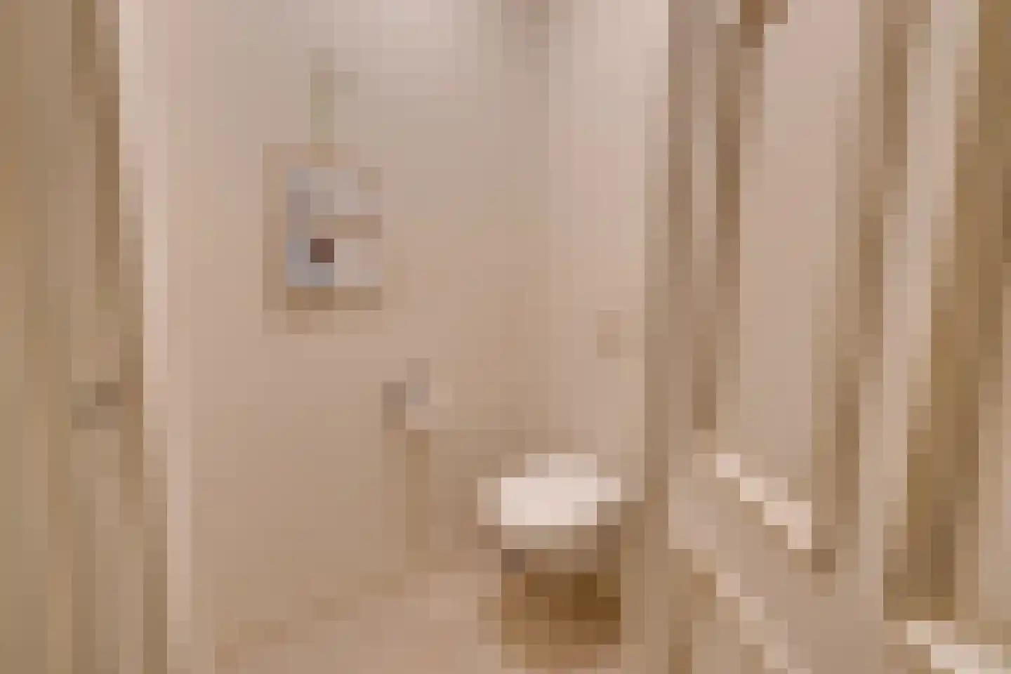 Zijvend 1 Middelie thumbnail 68
