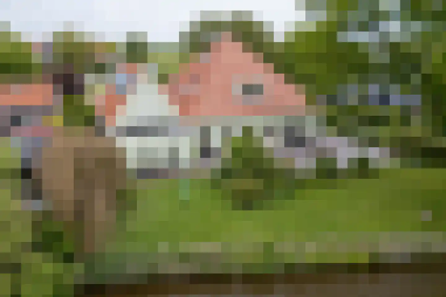 Zijvend 1 Middelie thumbnail 88