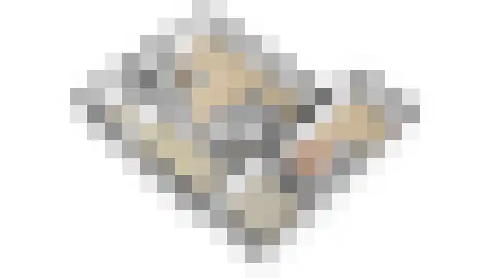 Zijvend 1 Middelie thumbnail 91