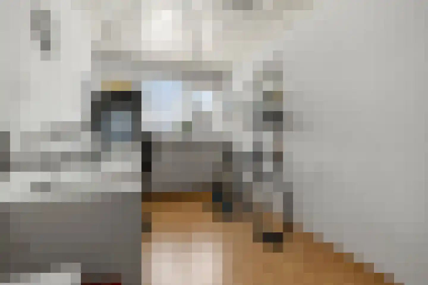 Zijvend 36 Middelie thumbnail 16