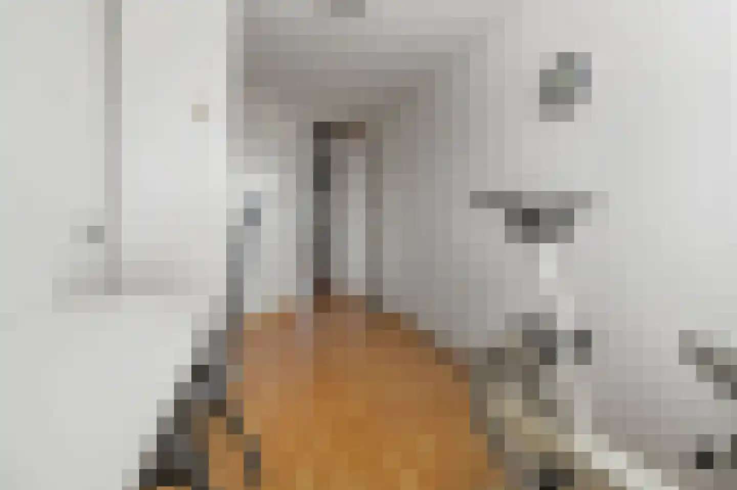 Zijvend 36 Middelie thumbnail 19