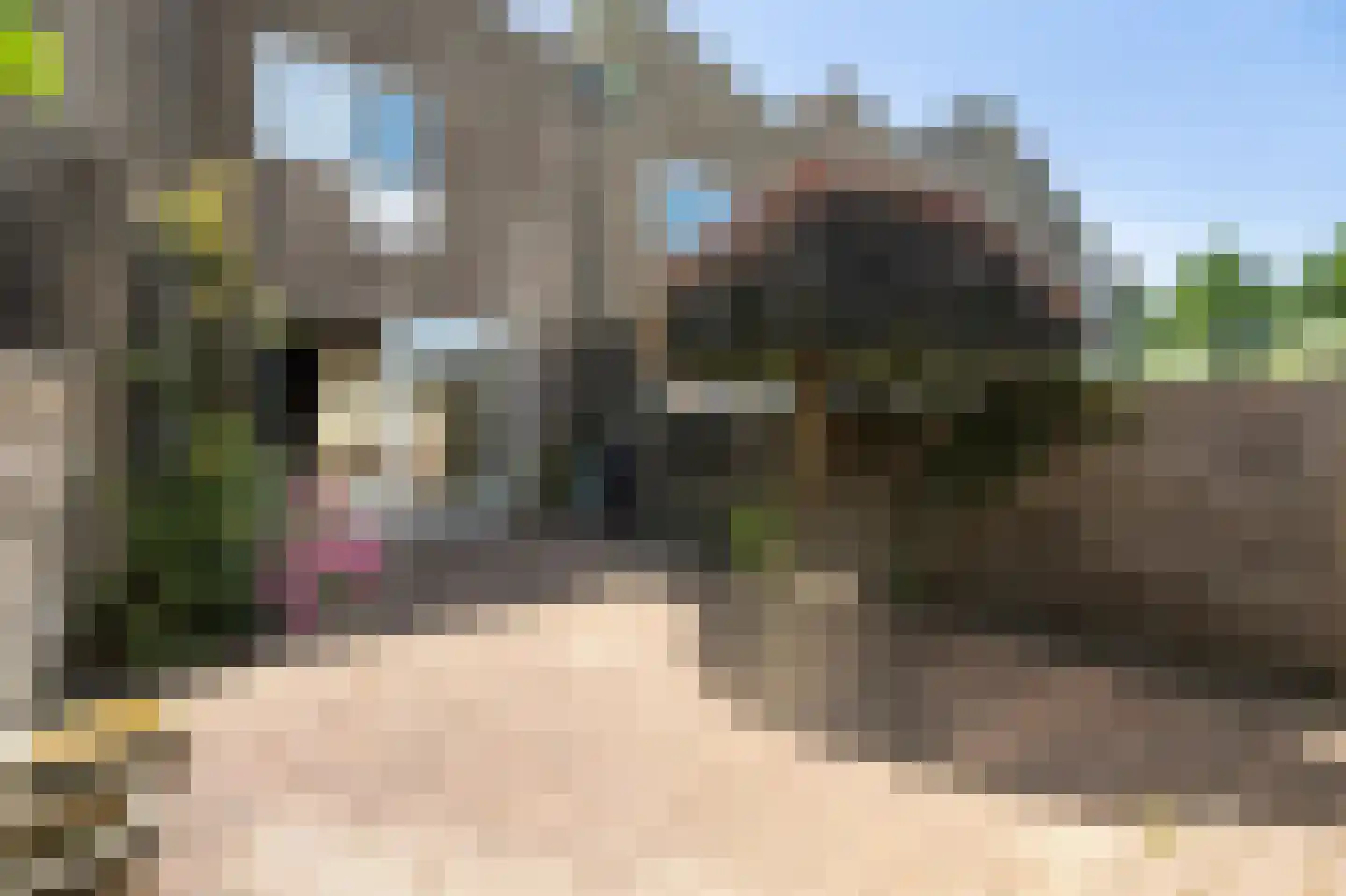 Zijvend 36 Middelie thumbnail 7
