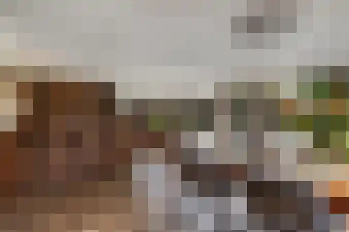 Zijweg Dungen 12 Schijndel thumbnail 13