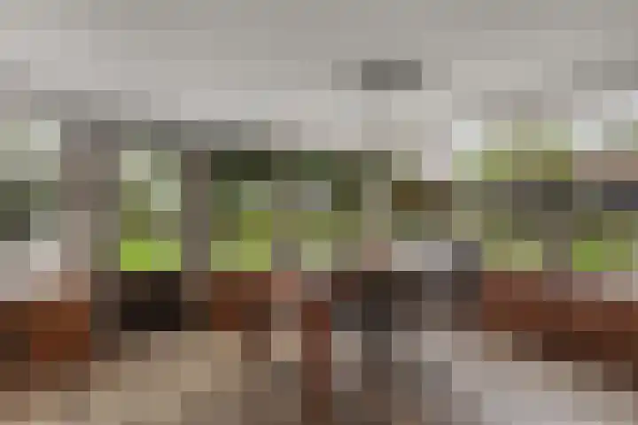 Zijweg Dungen 12 Schijndel thumbnail 14