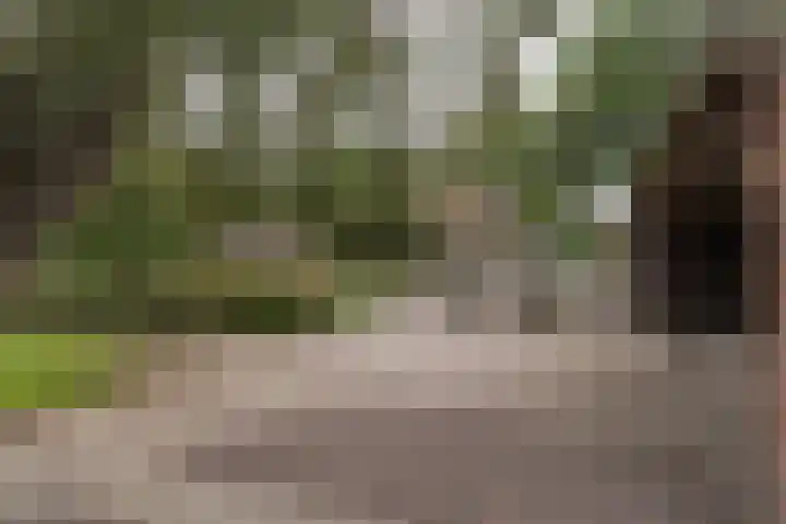 Zijweg Dungen 12 Schijndel thumbnail 22
