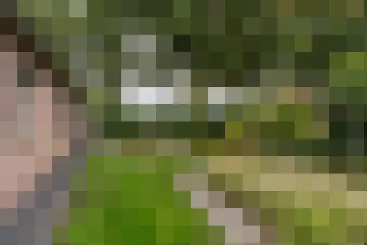 Zijweg Dungen 12 Schijndel thumbnail 25