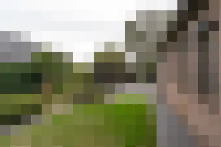 Zijweg Dungen 12 Schijndel thumbnail 26