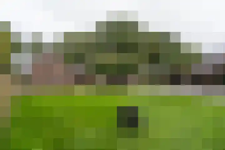 Zijweg Dungen 12 Schijndel thumbnail 27