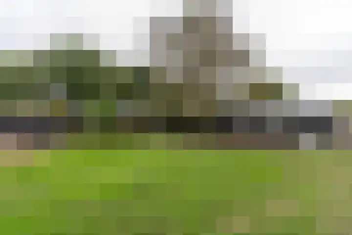 Zijweg Dungen 12 Schijndel thumbnail 30