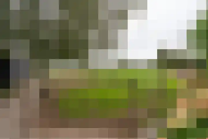 Zijweg Dungen 12 Schijndel thumbnail 31