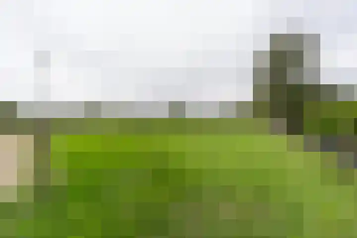Zijweg Dungen 12 Schijndel thumbnail 32