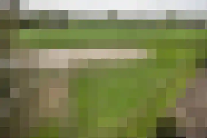 Zijweg Dungen 12 Schijndel thumbnail 33