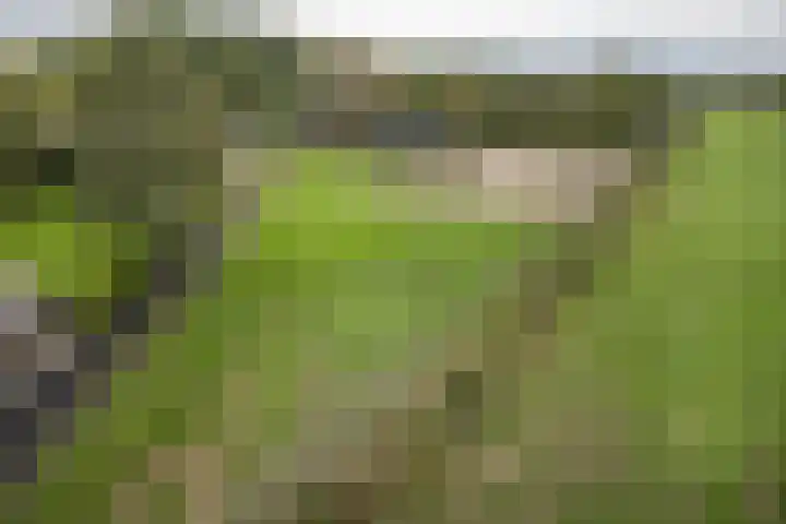 Zijweg Dungen 12 Schijndel thumbnail 34