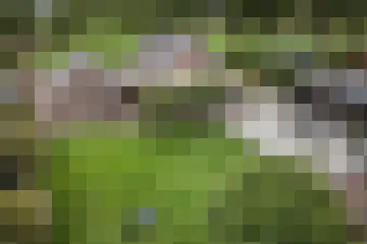 Zijweg Dungen 12 Schijndel thumbnail 35