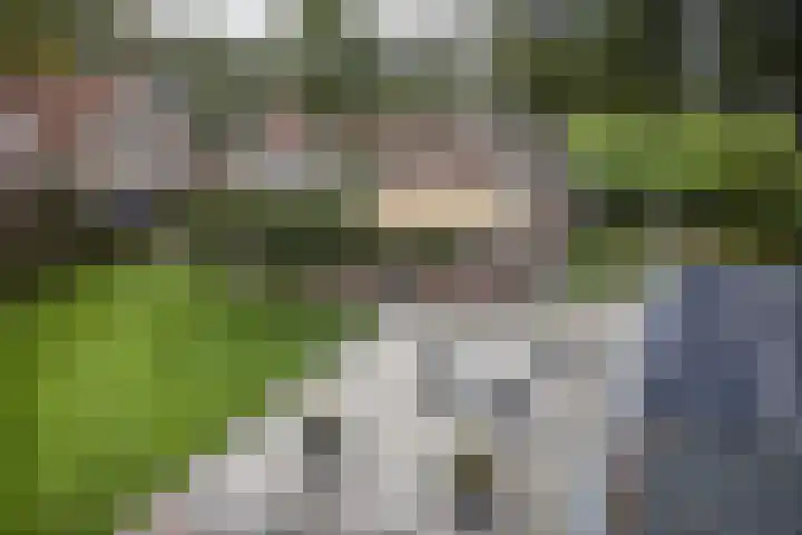 Zijweg Dungen 12 Schijndel thumbnail 36