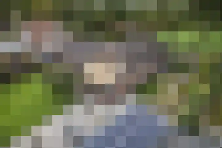 Zijweg Dungen 12 Schijndel thumbnail 37