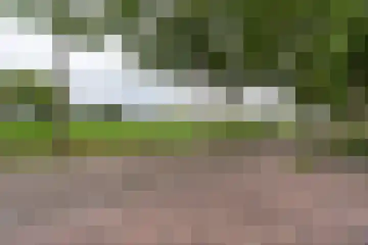 Zijweg Dungen 12 Schijndel thumbnail 38