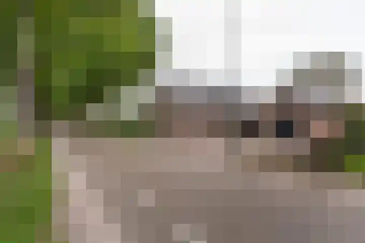 Zijweg Dungen 12 Schijndel thumbnail 39