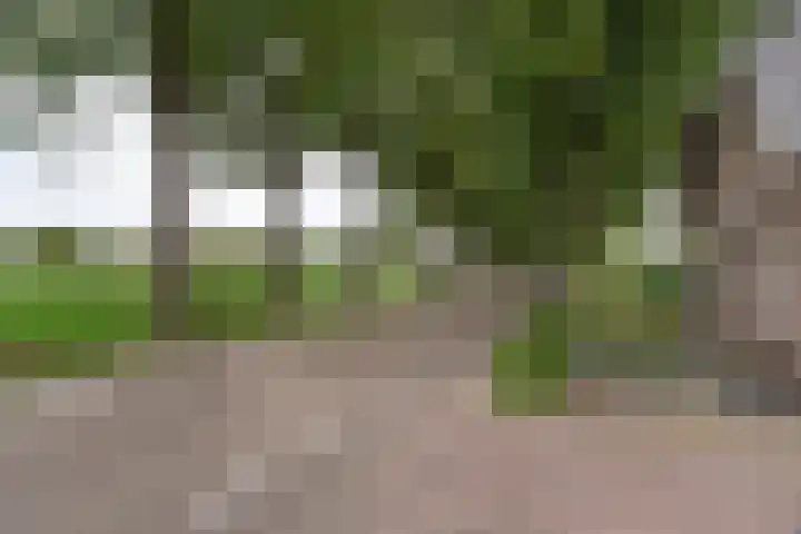 Zijweg Dungen 12 Schijndel thumbnail 40