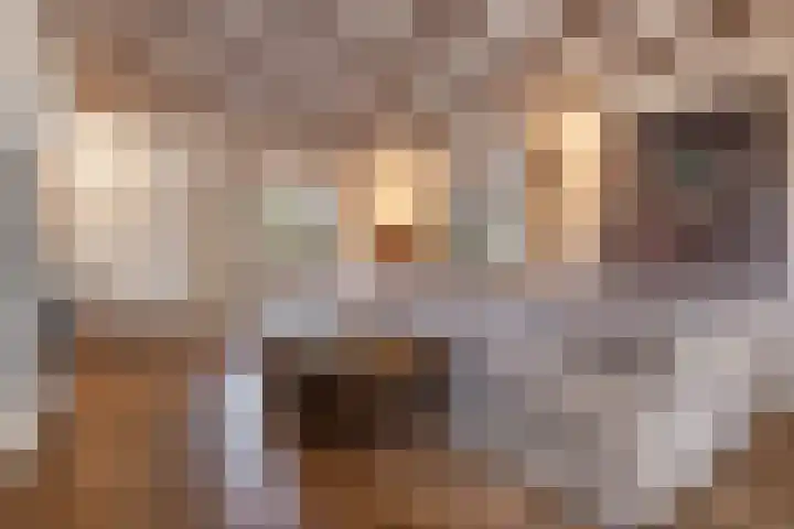 Zijweg Dungen 12 Schijndel thumbnail 5
