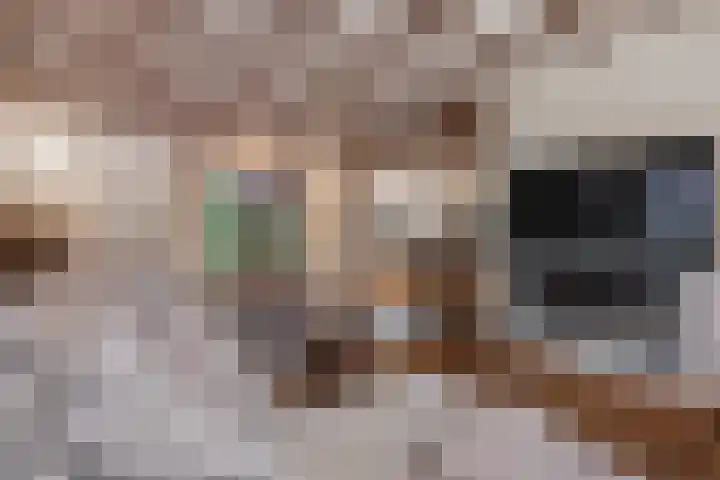 Zijweg Dungen 12 Schijndel thumbnail 6