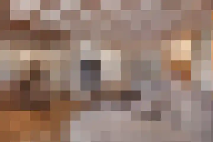 Zijweg Dungen 12 Schijndel thumbnail 7