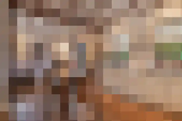 Zijweg Dungen 12 Schijndel thumbnail 9
