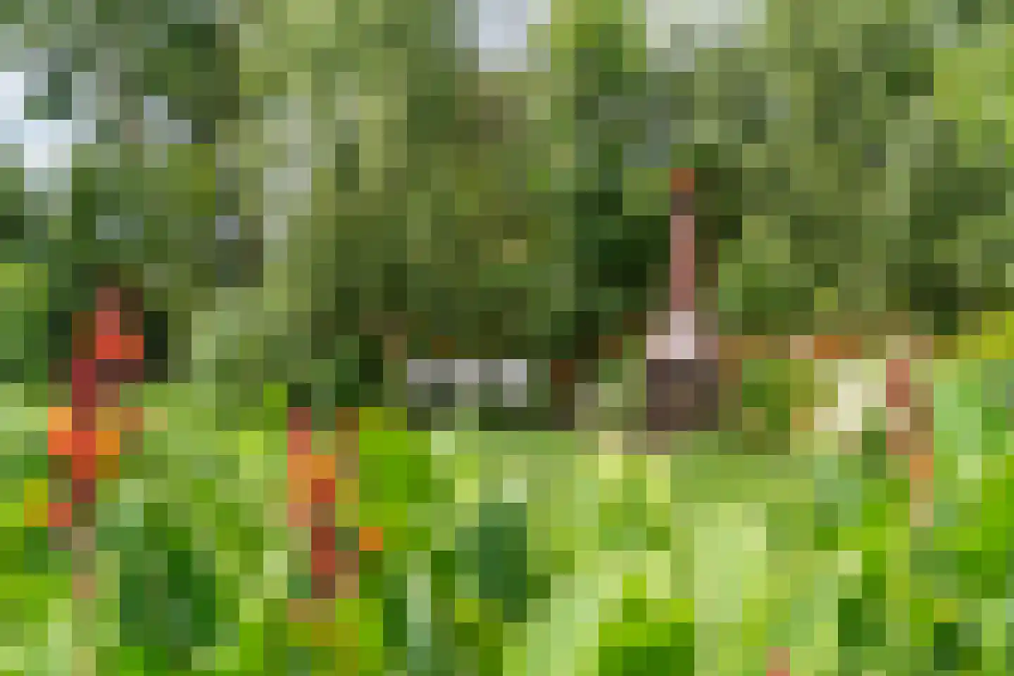 Zijweg Dungen 22 Schijndel thumbnail 33