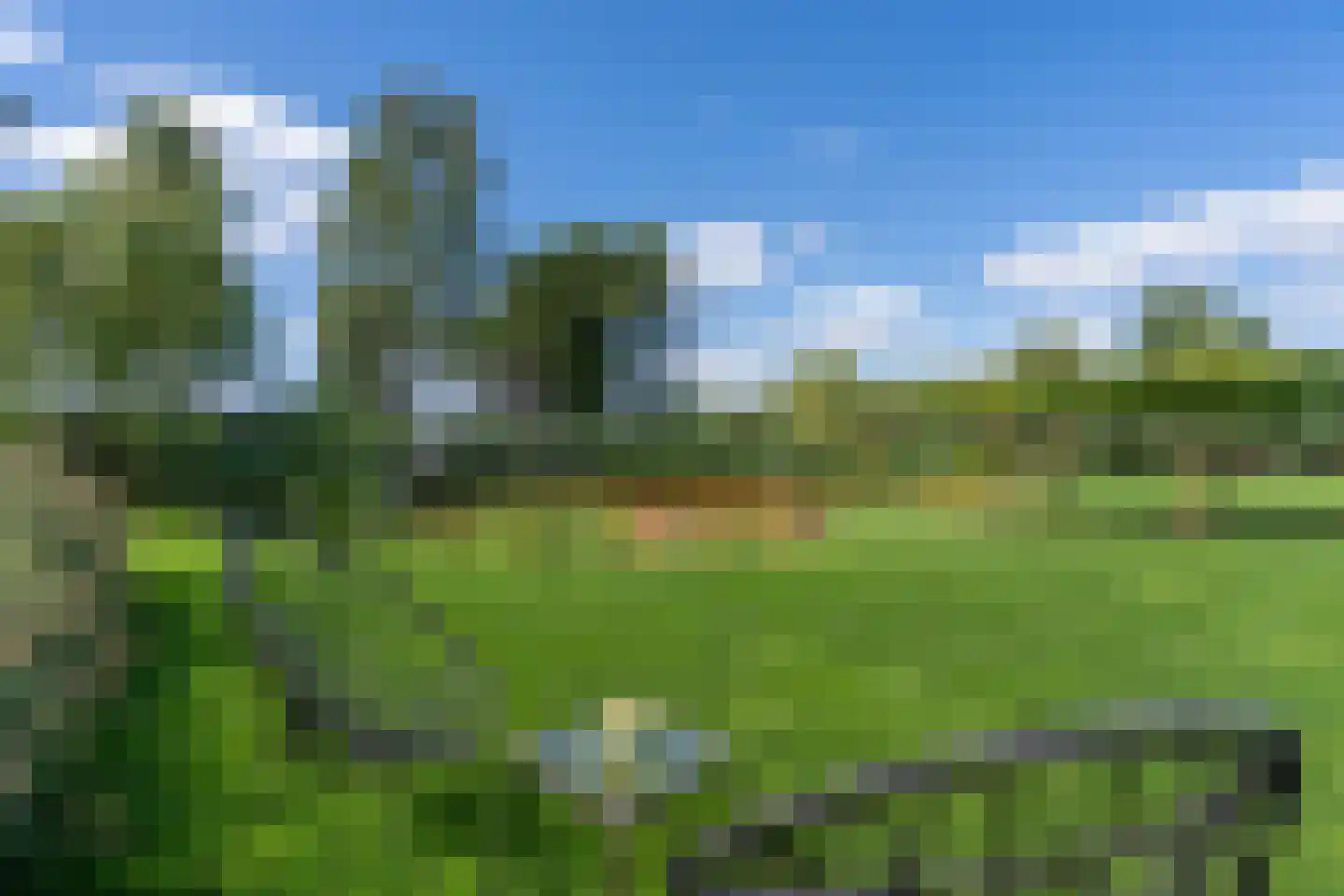 Zijweg Dungen 22 Schijndel thumbnail 34