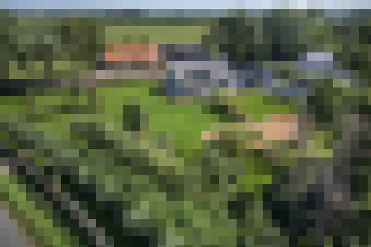 Zijweg Dungen 22 Schijndel thumbnail 39