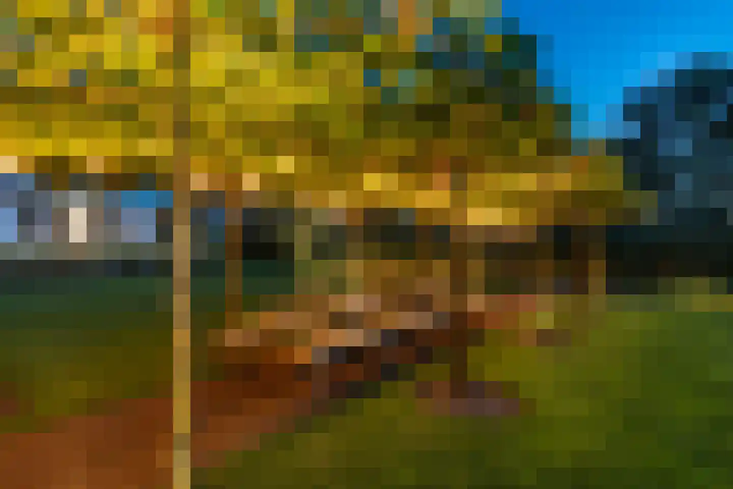 Zijweg Dungen 22 Schijndel thumbnail 44