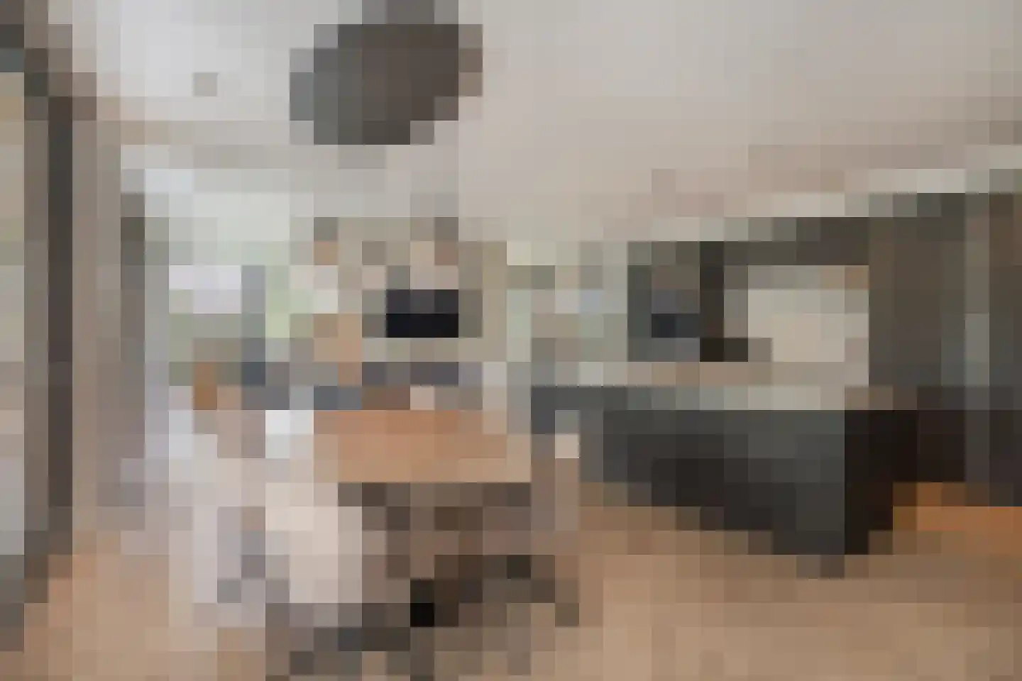 Zijweg Dungen 22 Schijndel thumbnail 5