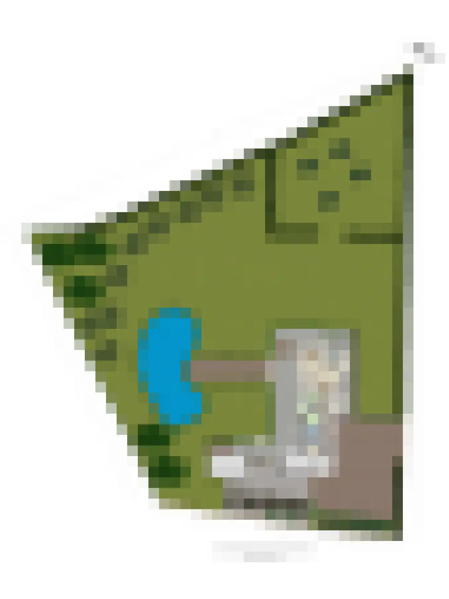 Zijweg Dungen 22 Schijndel thumbnail 51